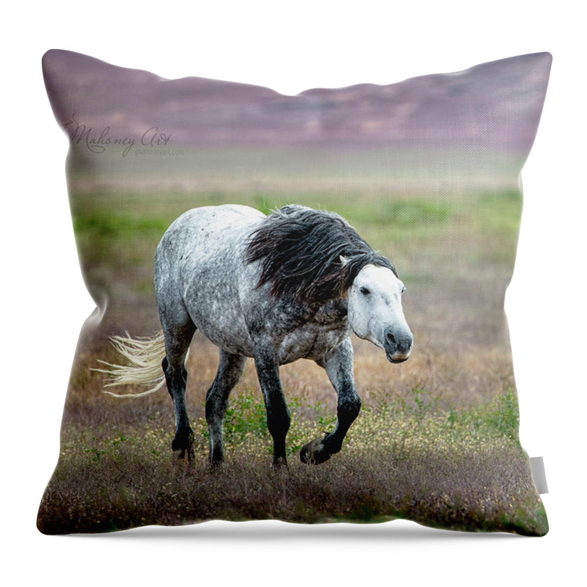 Horse Throw Pillow featuring the photograph My Mares by Jeanette Mahoney