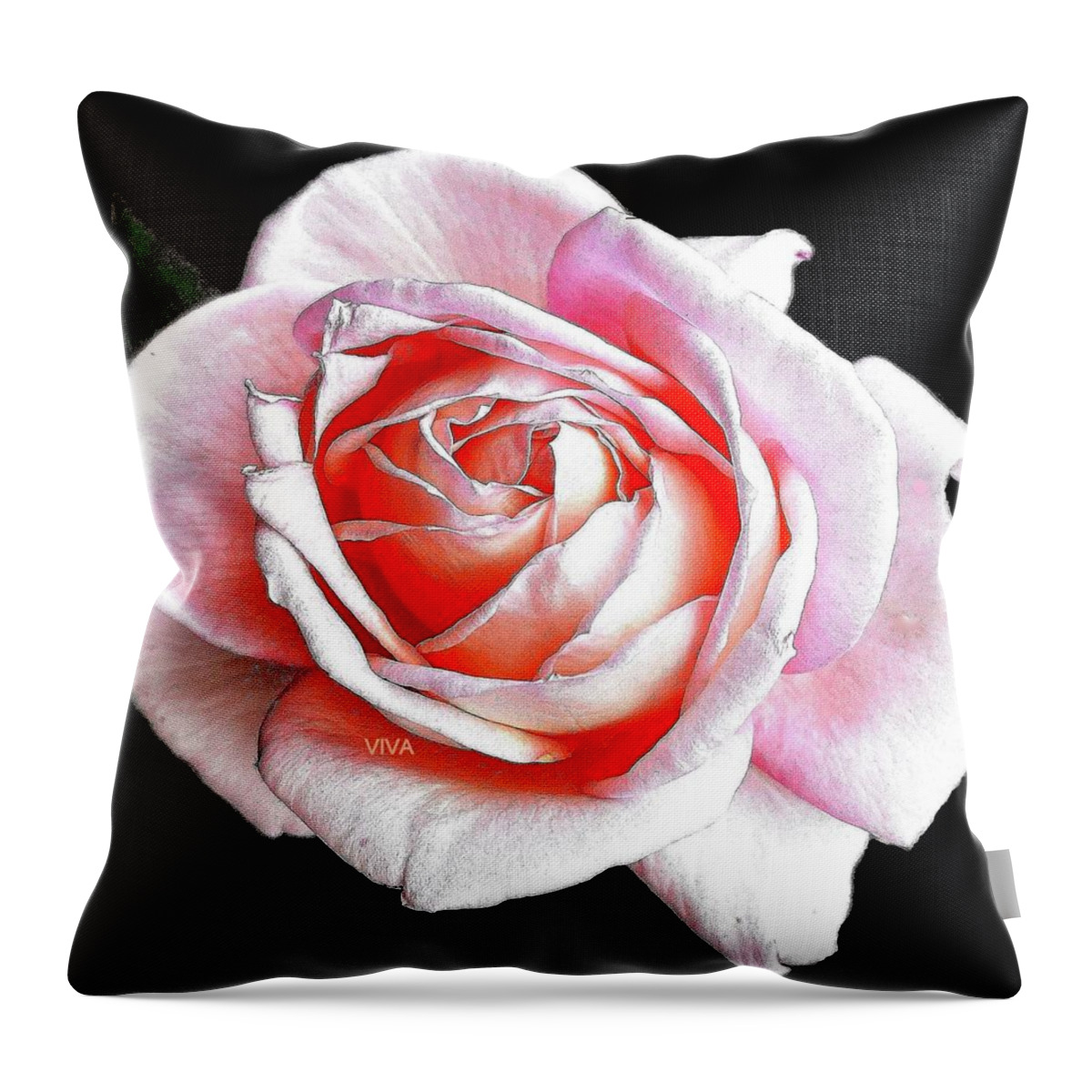 Rose Throw Pillow featuring the photograph My ROSIE by VIVA Anderson