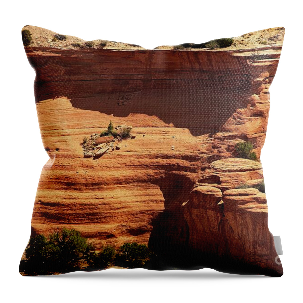 Jon Burch Throw Pillow featuring the photograph My Sediments Exactly by Jon Burch Photography