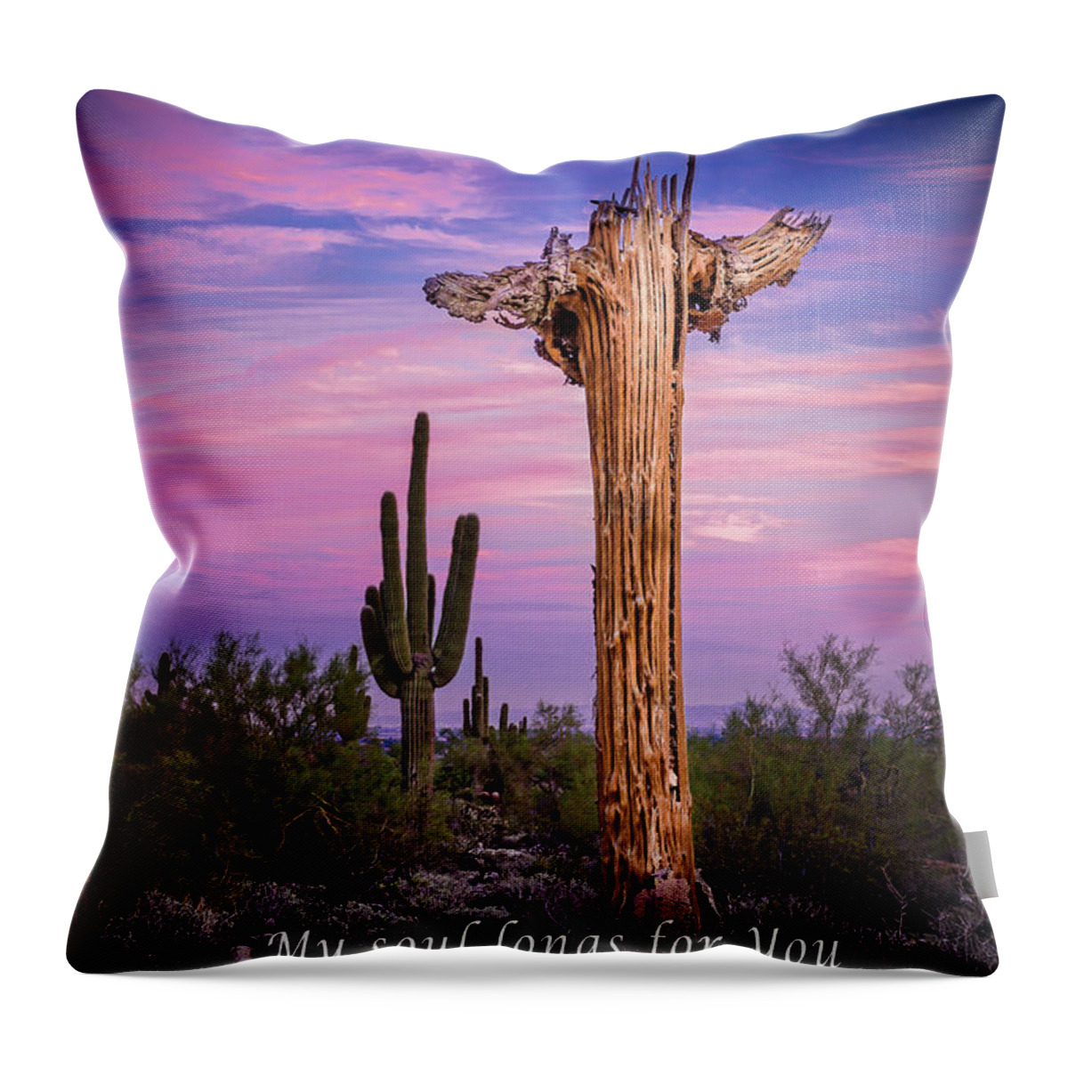 Inspiration Throw Pillow featuring the photograph My Soul Longs For You IN004 by Kenneth Johnson