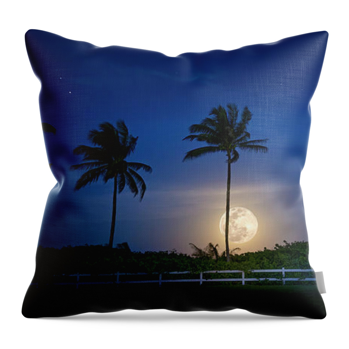Moon Throw Pillow featuring the photograph Mystic Moonlight by Mark Andrew Thomas