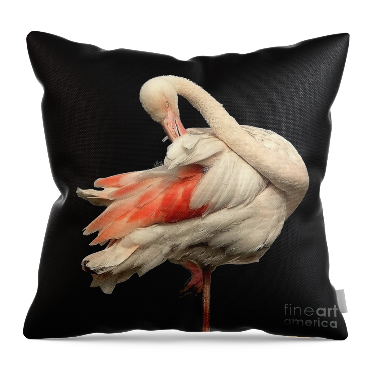 Flamingo Posing Ballerina Gentle Delicate Red Black Flexible Long Neck Curved White Pink Animal Big Elegant Elegance Single Alone Beauty Handsome Expressionistic Figure Character Expressive Charming Aesthetic Singular Shaped Modelling Posture Bird Natural History Powerful Beautiful Attractive Creative Stylish Striking Amazing Solo Fantastic Fabulous Proud Flexible Beak Vivid Contrast Sentimental Solitary Lonely Lonesome Loner Style Shy Hidden Feathers Standing One Leg Pretty Delightful Shy Wing Throw Pillow featuring the photograph Beautiful Flamingo Posing On One Leg Like A Ballerina On Effective Black Background by Tatiana Bogracheva