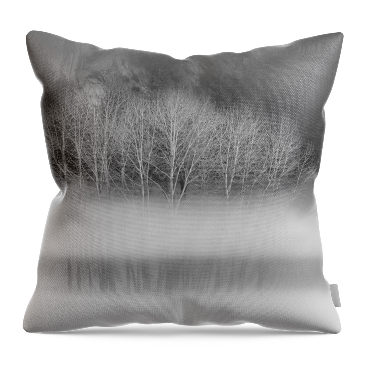 Yosemite National Park Throw Pillow featuring the photograph Naked aspens in the Yosemite fog, black and white by Alessandra RC