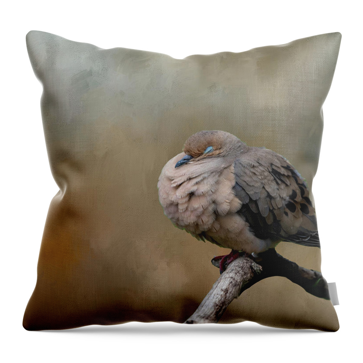 Mourning Dove Throw Pillow featuring the photograph Nap Time by Cathy Kovarik