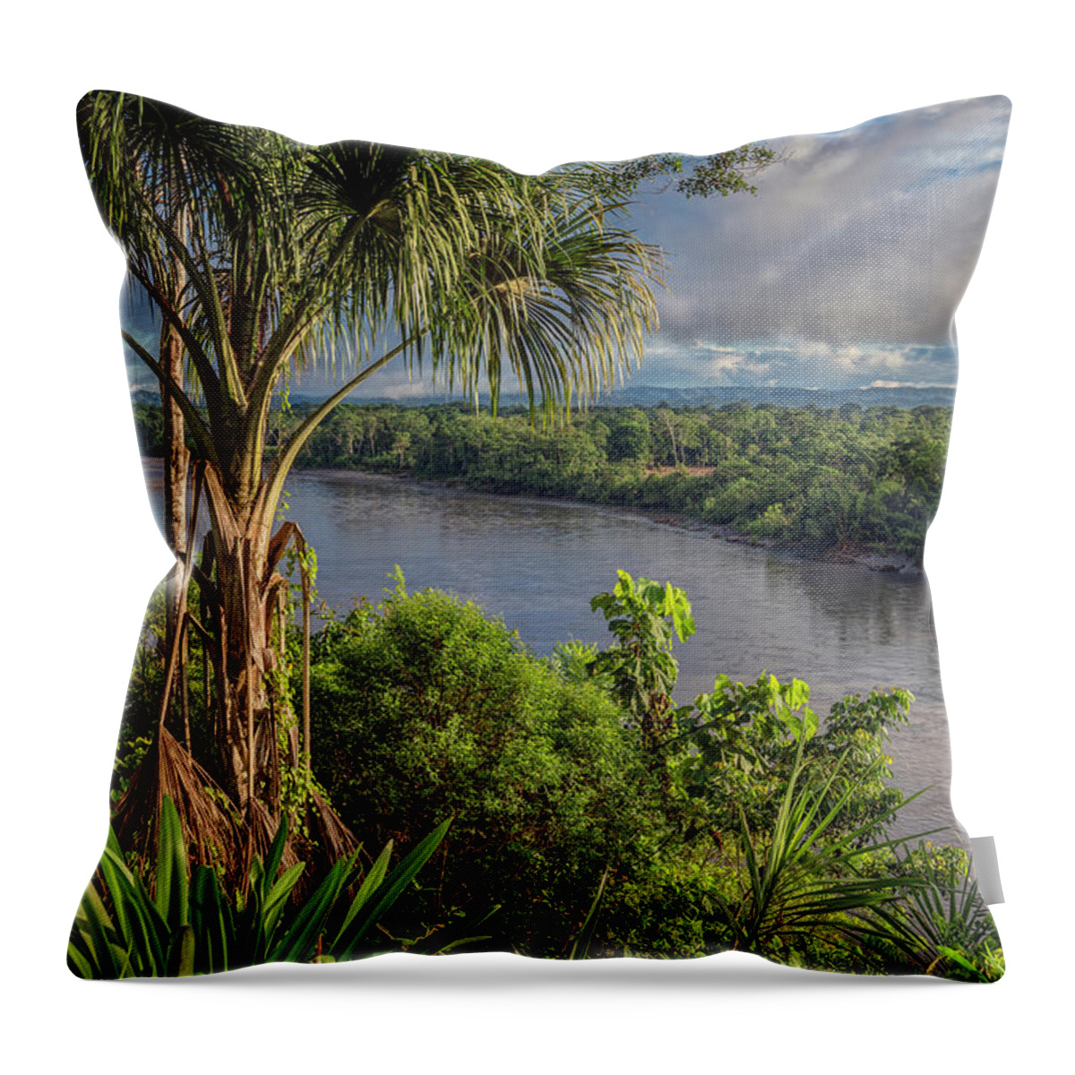 Ahuano Throw Pillow featuring the photograph Napo river near Ahuano by Henri Leduc