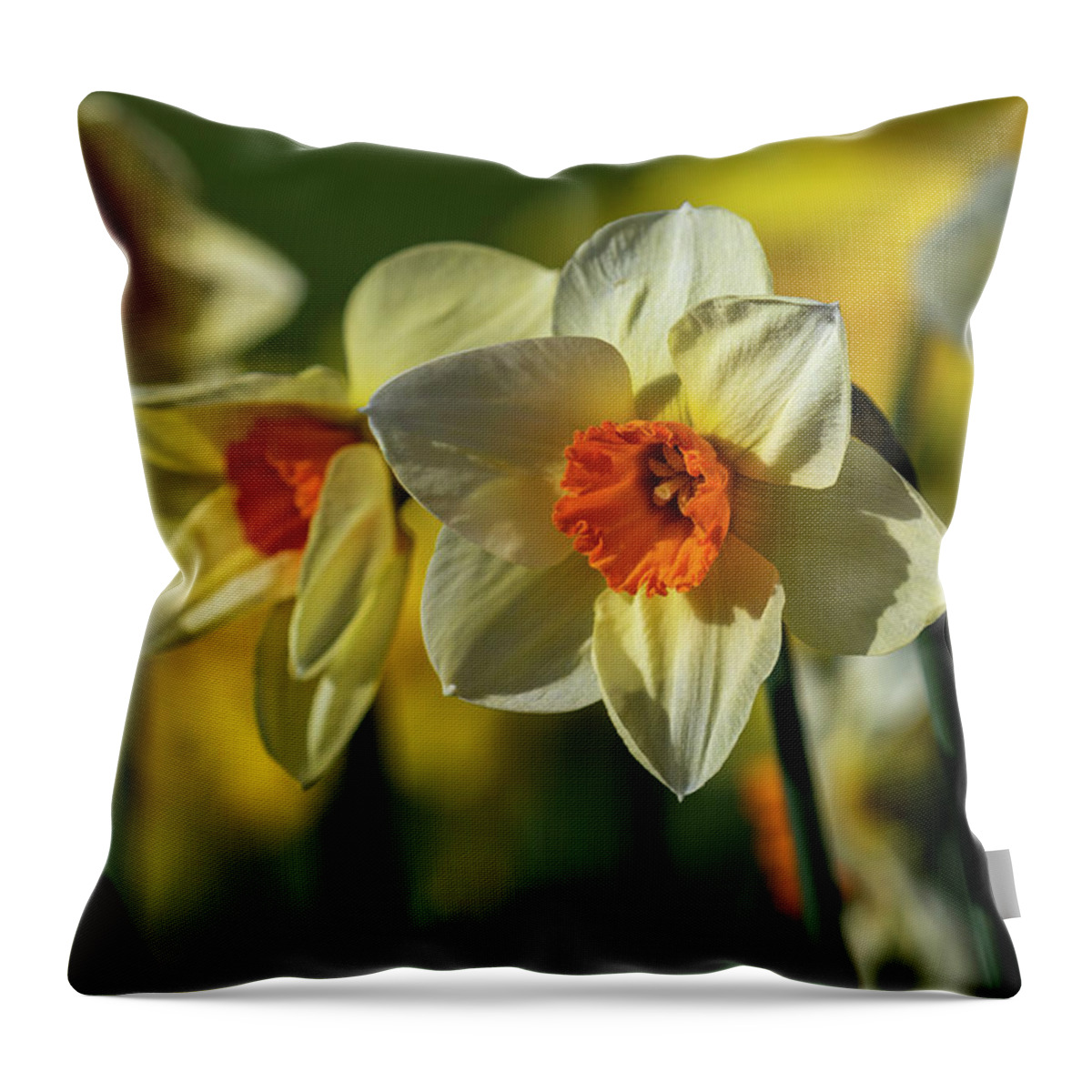 Afternoon Throw Pillow featuring the photograph Narcissus Bed by Robert Potts