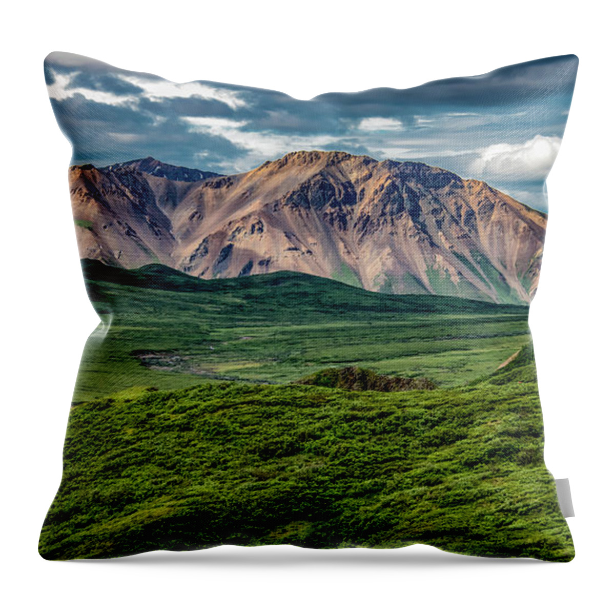 Denali National Park Throw Pillow featuring the photograph Naturally Denali by Marcy Wielfaert
