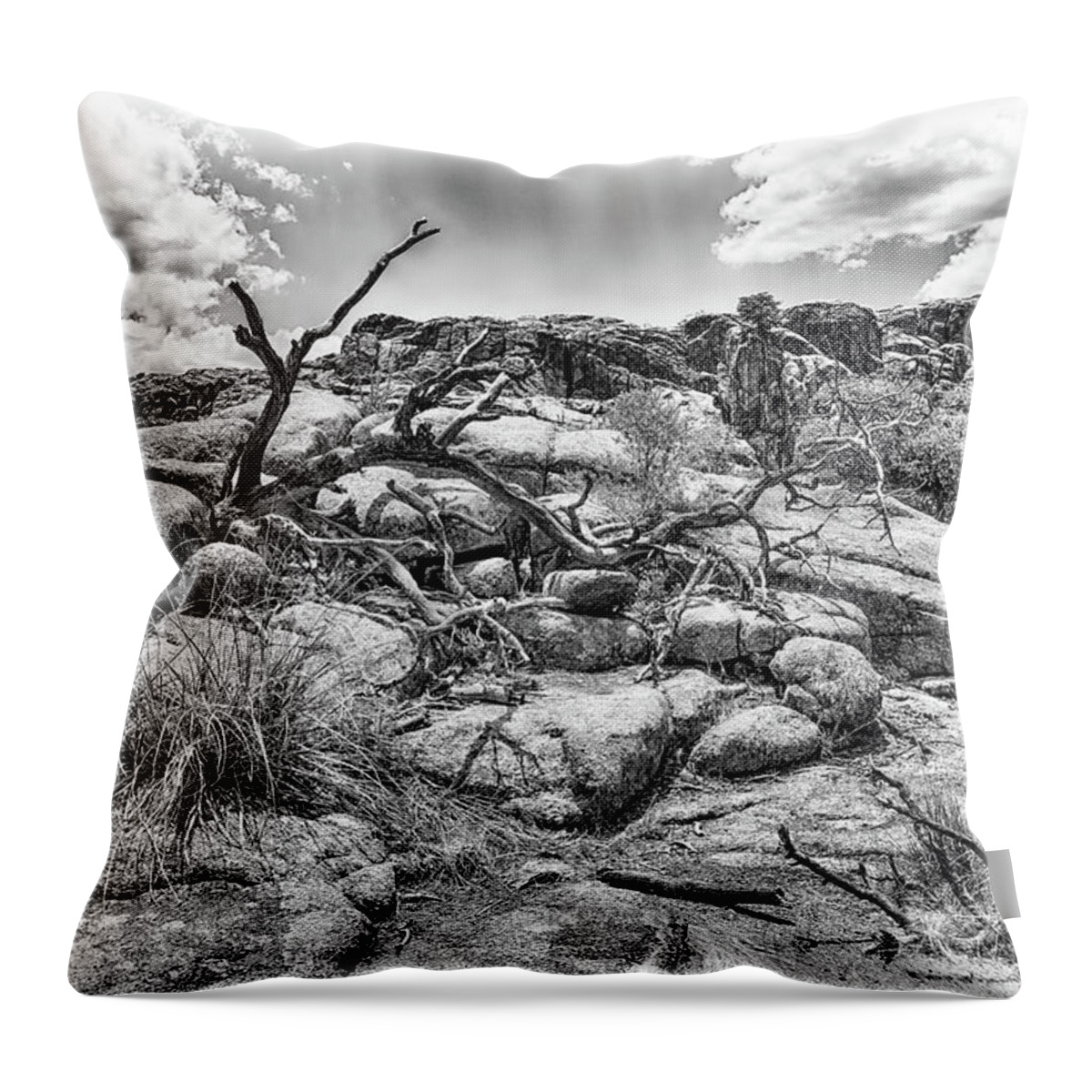 Tree Throw Pillow featuring the photograph Naturally Etched by Scott Wyatt