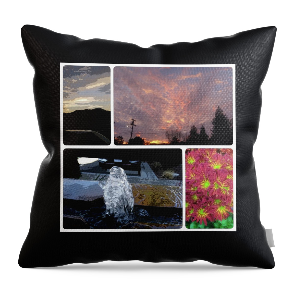 Collage Throw Pillow featuring the photograph Nature collage by Steven Wills