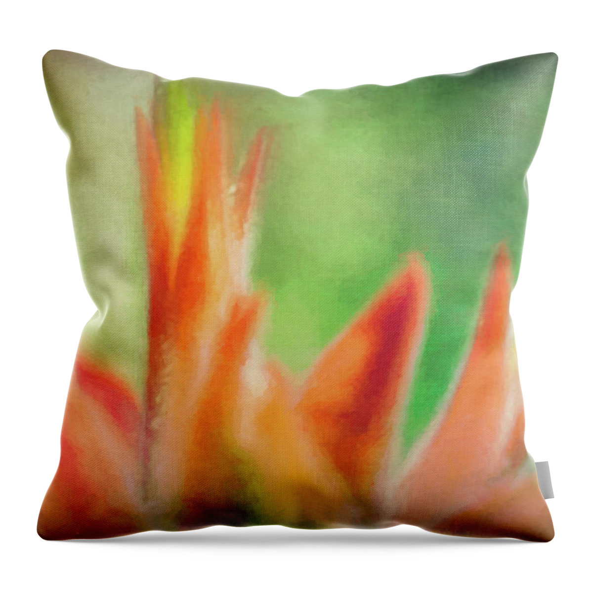 Indian Paintbrush Throw Pillow featuring the digital art Nature Dreaming by Bonny Puckett