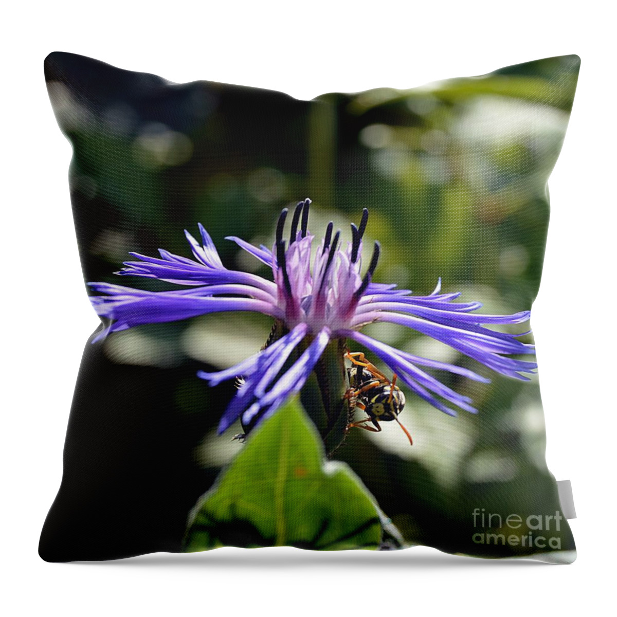 Flower Throw Pillow featuring the photograph Nature in harmony by Thomas Schroeder