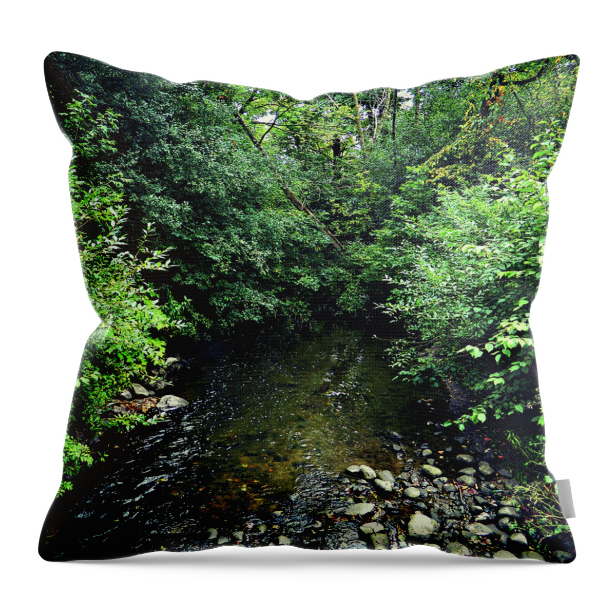 Nature Is So Sweet Throw Pillow featuring the photograph Nature Is So Sweet by Cyryn Fyrcyd