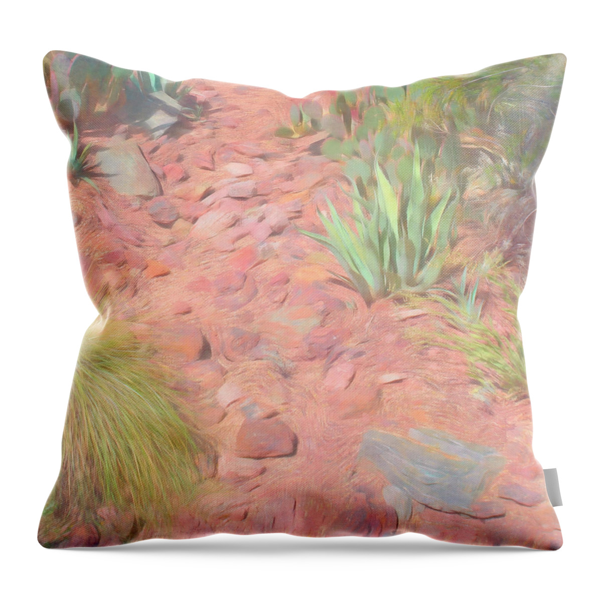 Desert Throw Pillow featuring the photograph Nature Path by Aimee L Maher ALM GALLERY