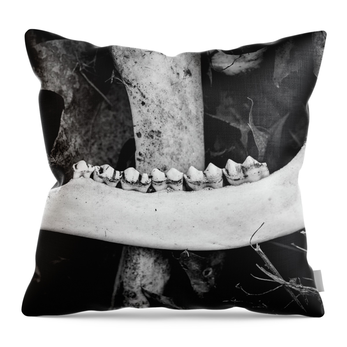 Deer Bones Throw Pillow featuring the photograph Nature Photography - Bones by Amelia Pearn