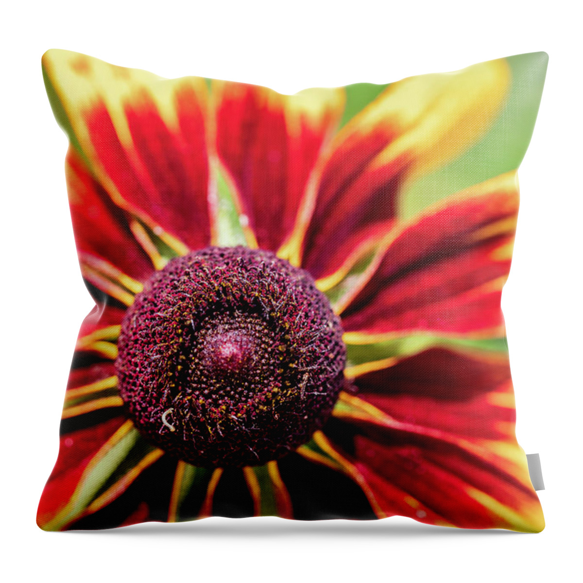 Yellow Flower Throw Pillow featuring the photograph Nature Photography Flower Macro by Amelia Pearn