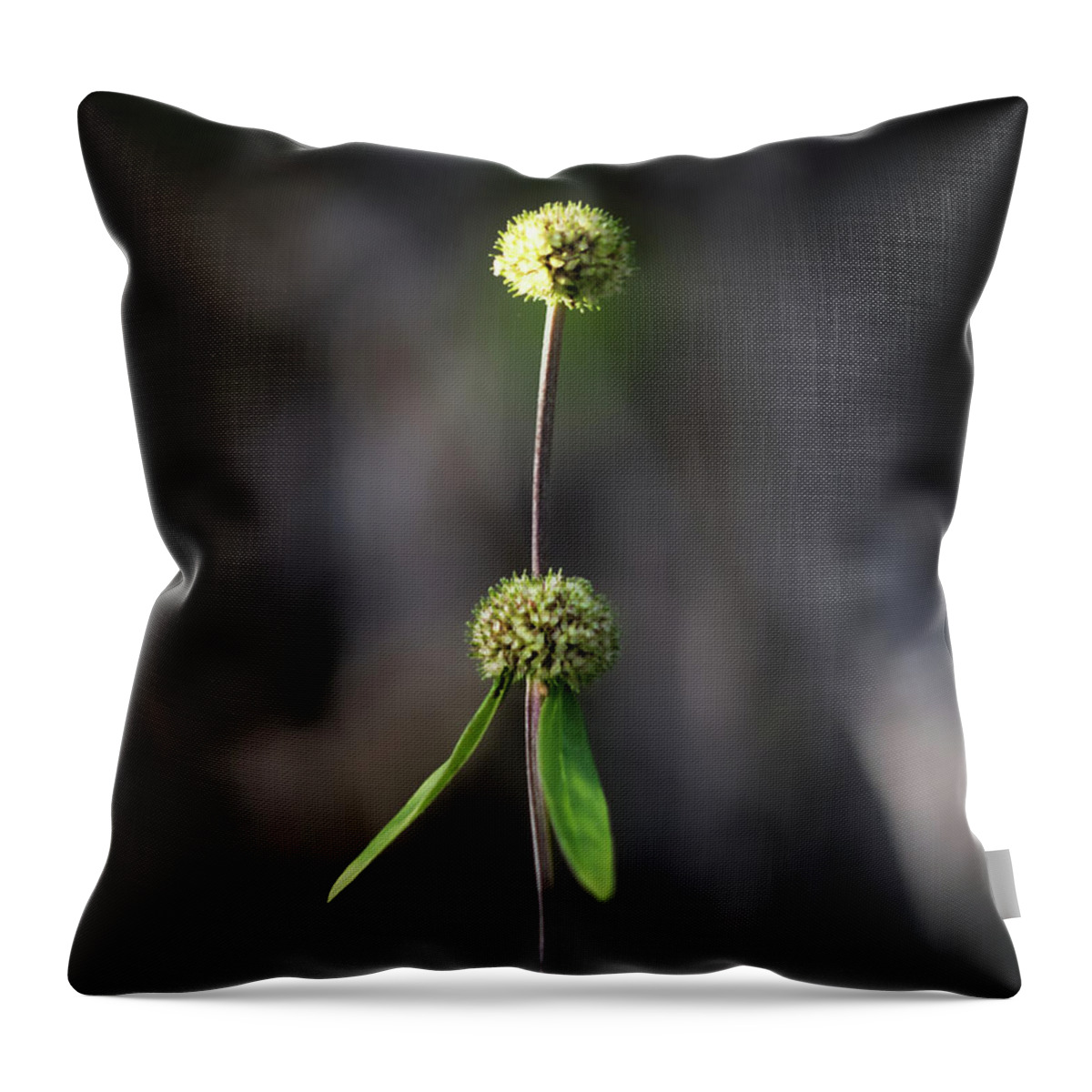 Nature Art Throw Pillow featuring the photograph Nature Pic 2 by Gian Smith