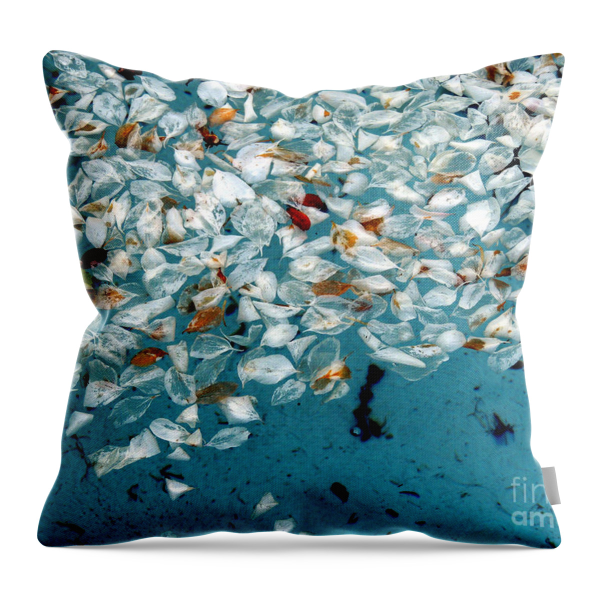 Simplify Structures Throw Pillow featuring the photograph Nature's Abstract #2 by Marcia Lee Jones