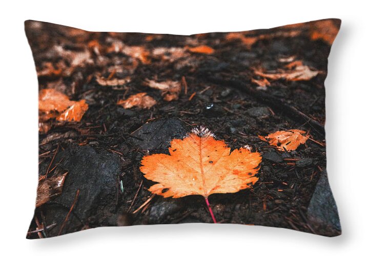 Canada Throw Pillow featuring the photograph Natures Breadcrumbs by Carmen Kern