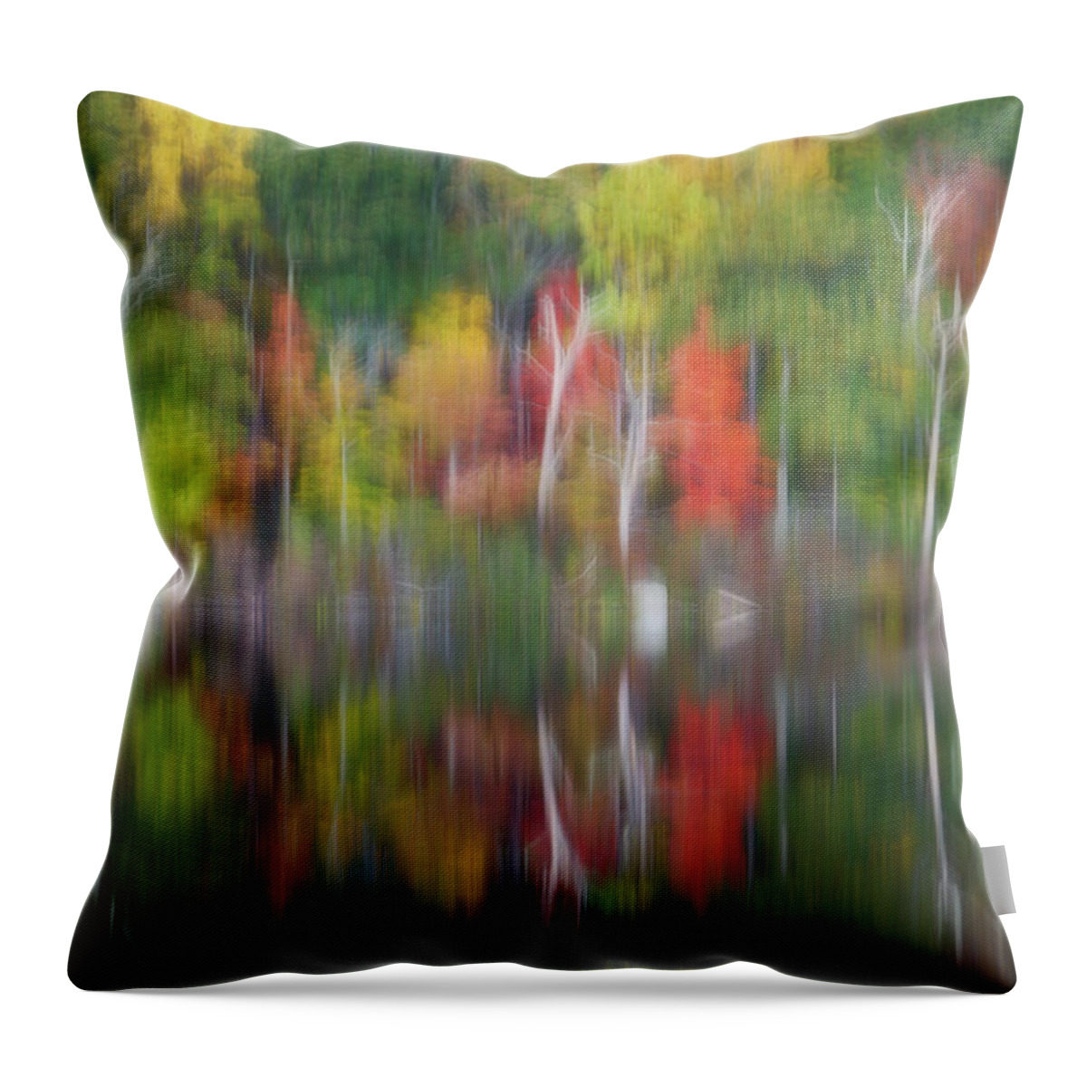 Harriman State Park Throw Pillow featuring the photograph Natures Color Palette II by Susan Candelario