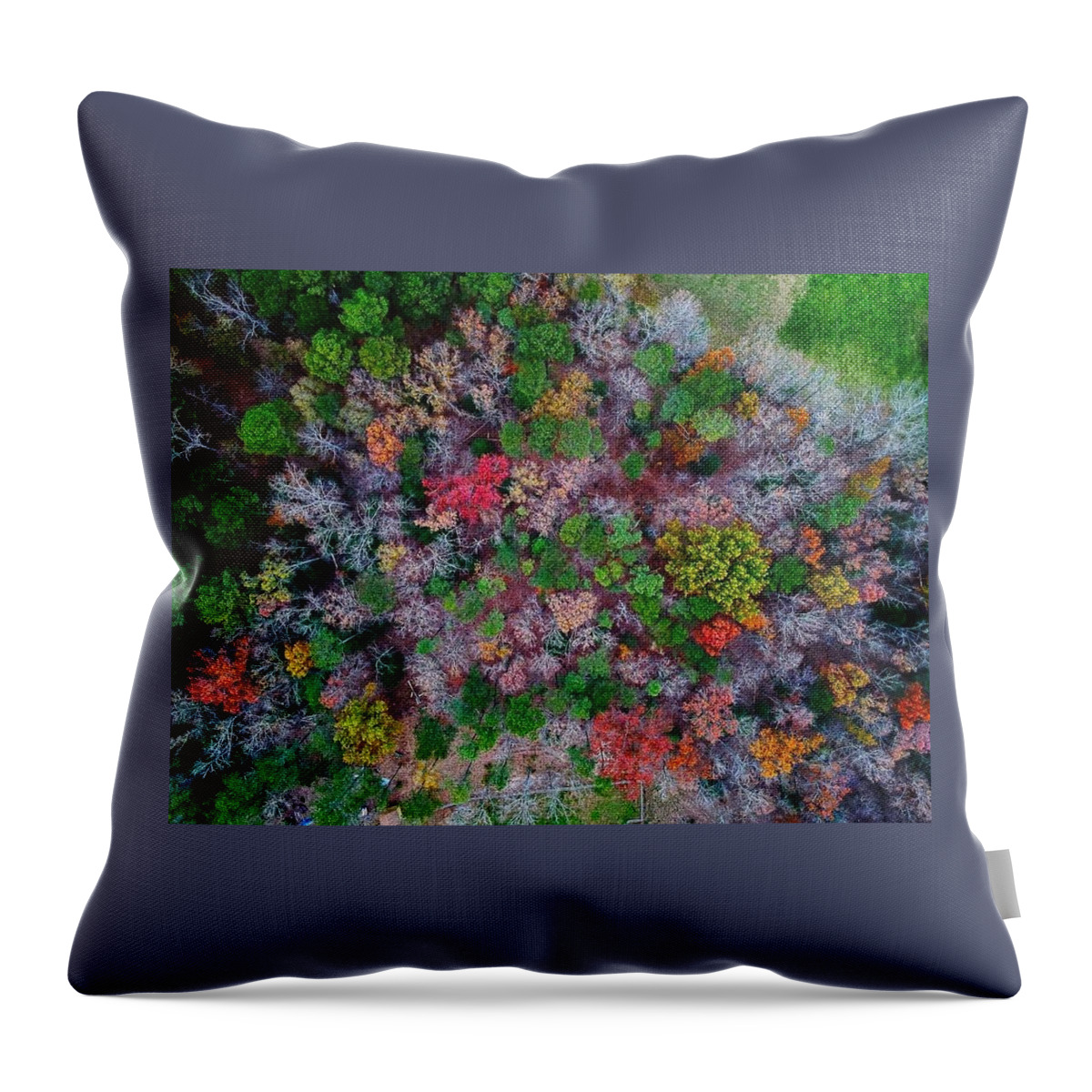  Throw Pillow featuring the photograph Natures colors by Stephen Dorton