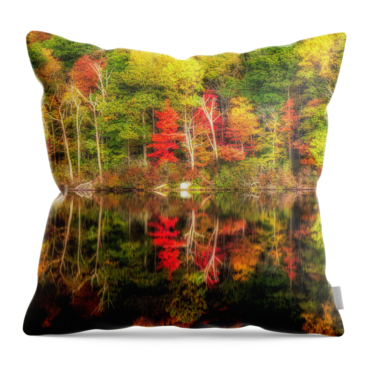 Harriman State Park Throw Pillow featuring the photograph Natures Fall Color Palette by Susan Candelario
