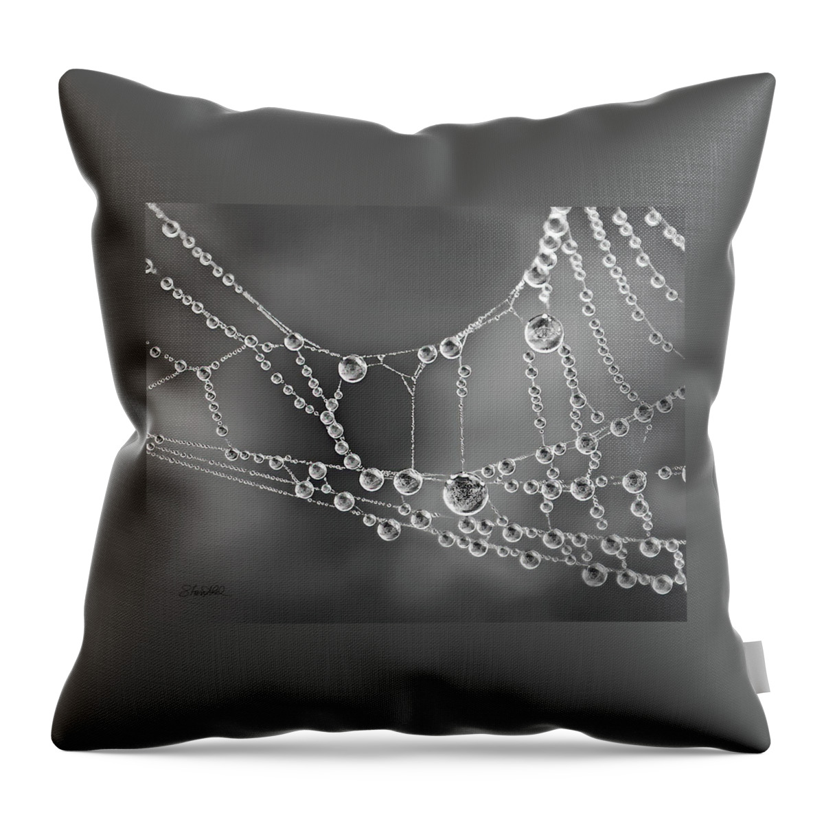 Spider Web Throw Pillow featuring the photograph Natures Jewels by Shara Abel