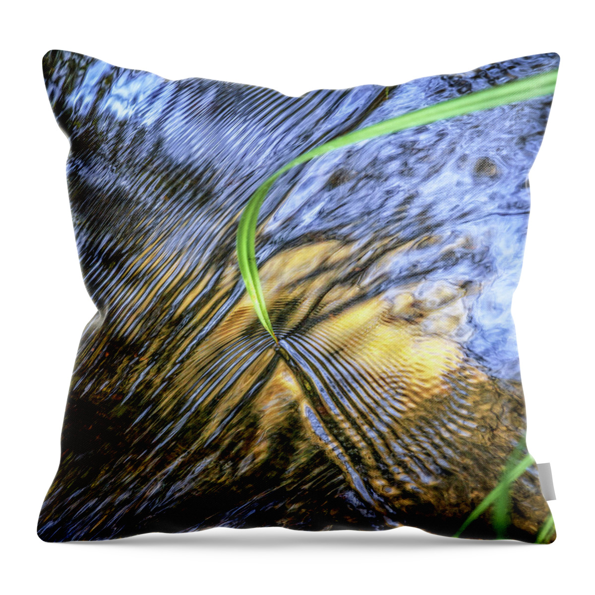 Needle Throw Pillow featuring the photograph Needle on reflective creek by Donald Kinney