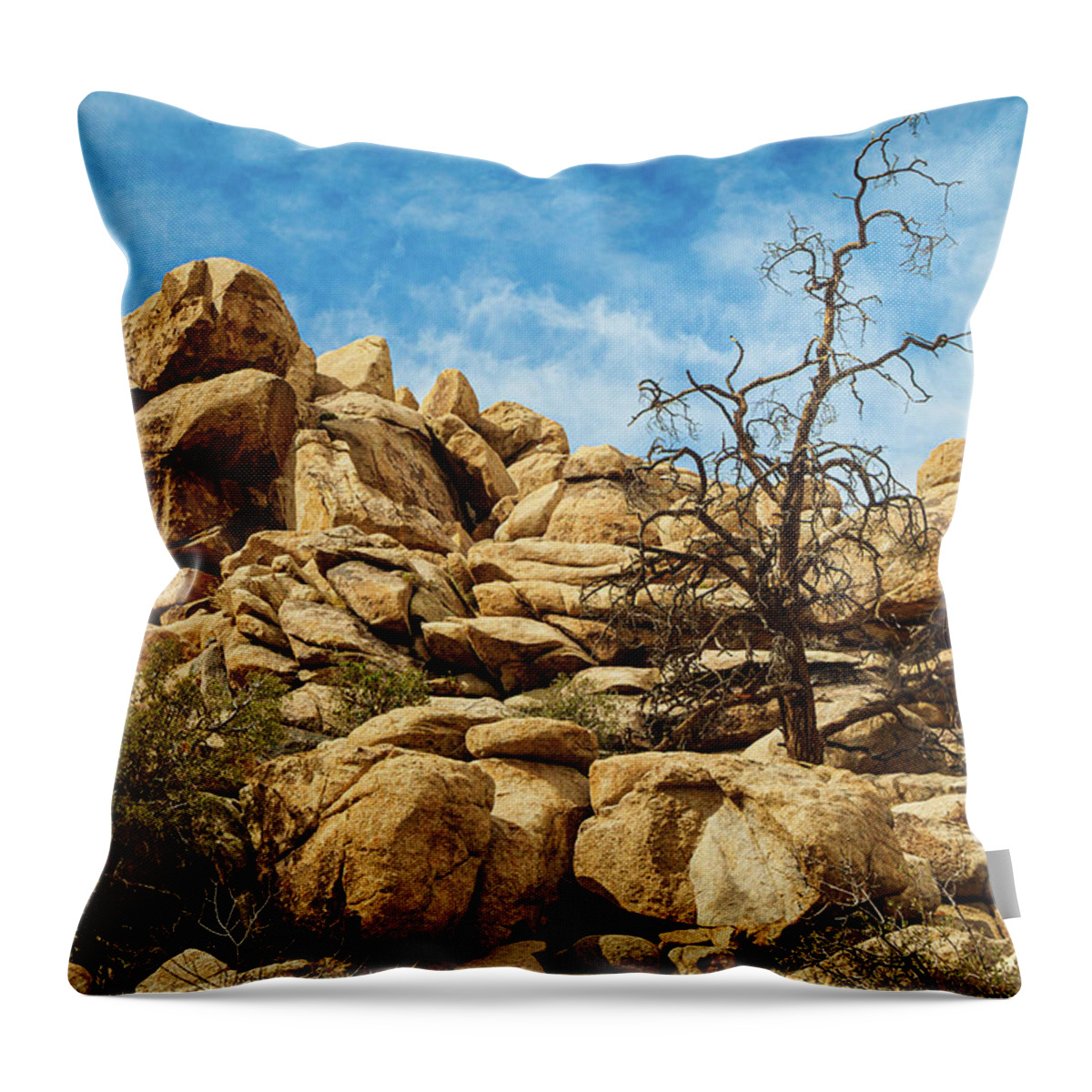 Landscapes Throw Pillow featuring the photograph Needs Water by Claude Dalley