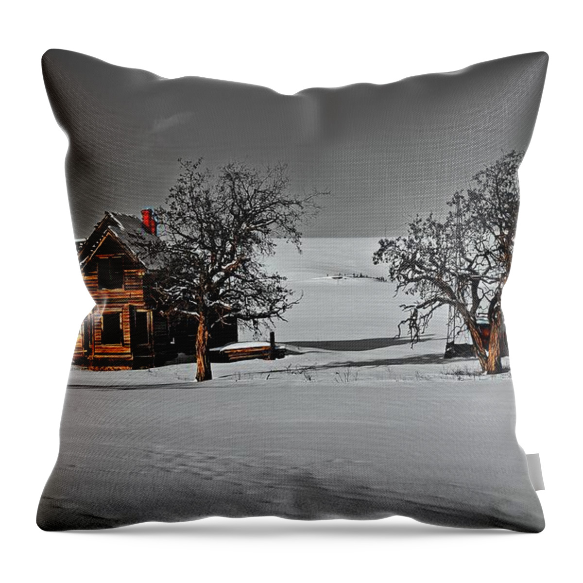  Throw Pillow featuring the digital art Nelson Homestead, winter 2018 by Fred Loring