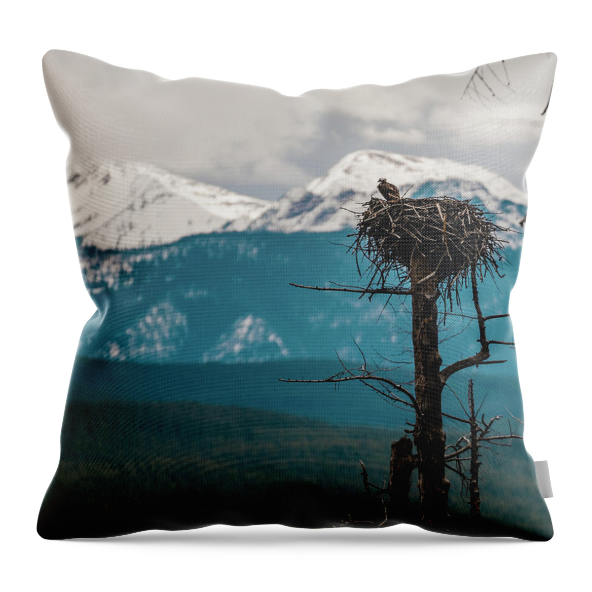  Throw Pillow featuring the photograph Nesting Osprey by William Boggs