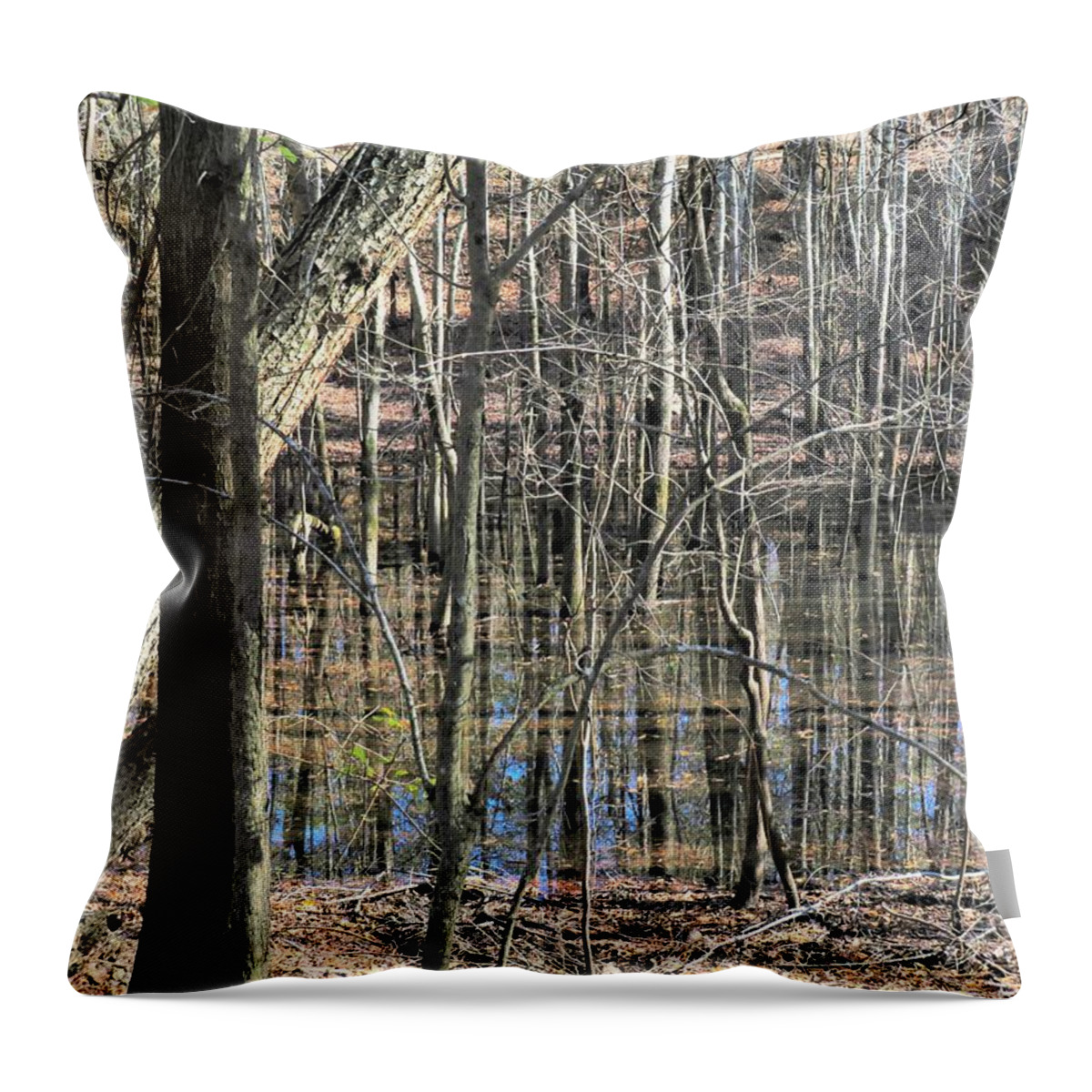 Trees Throw Pillow featuring the photograph Neverending Trees by Ed Williams