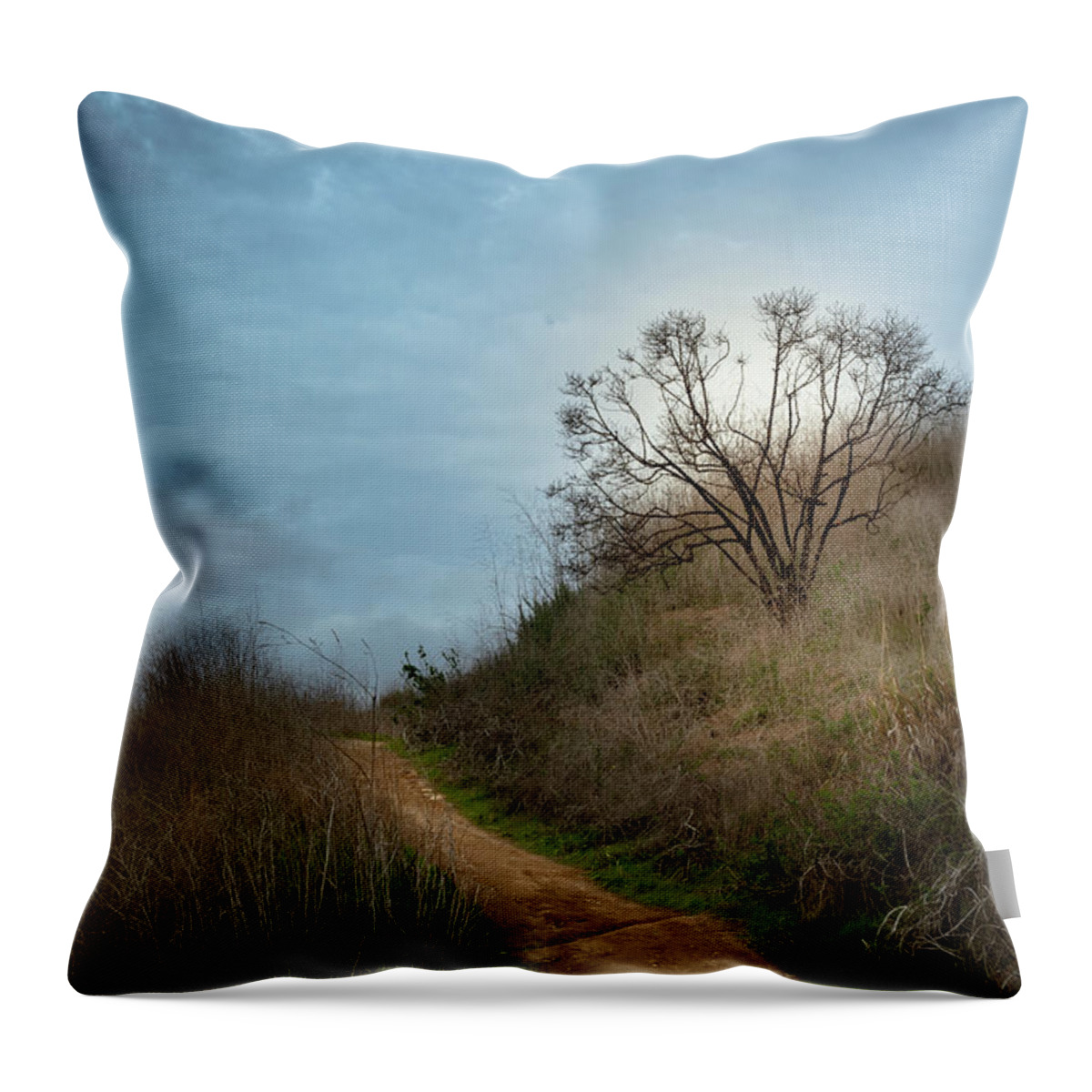 Path Throw Pillow featuring the photograph New Beginnings by Alison Frank