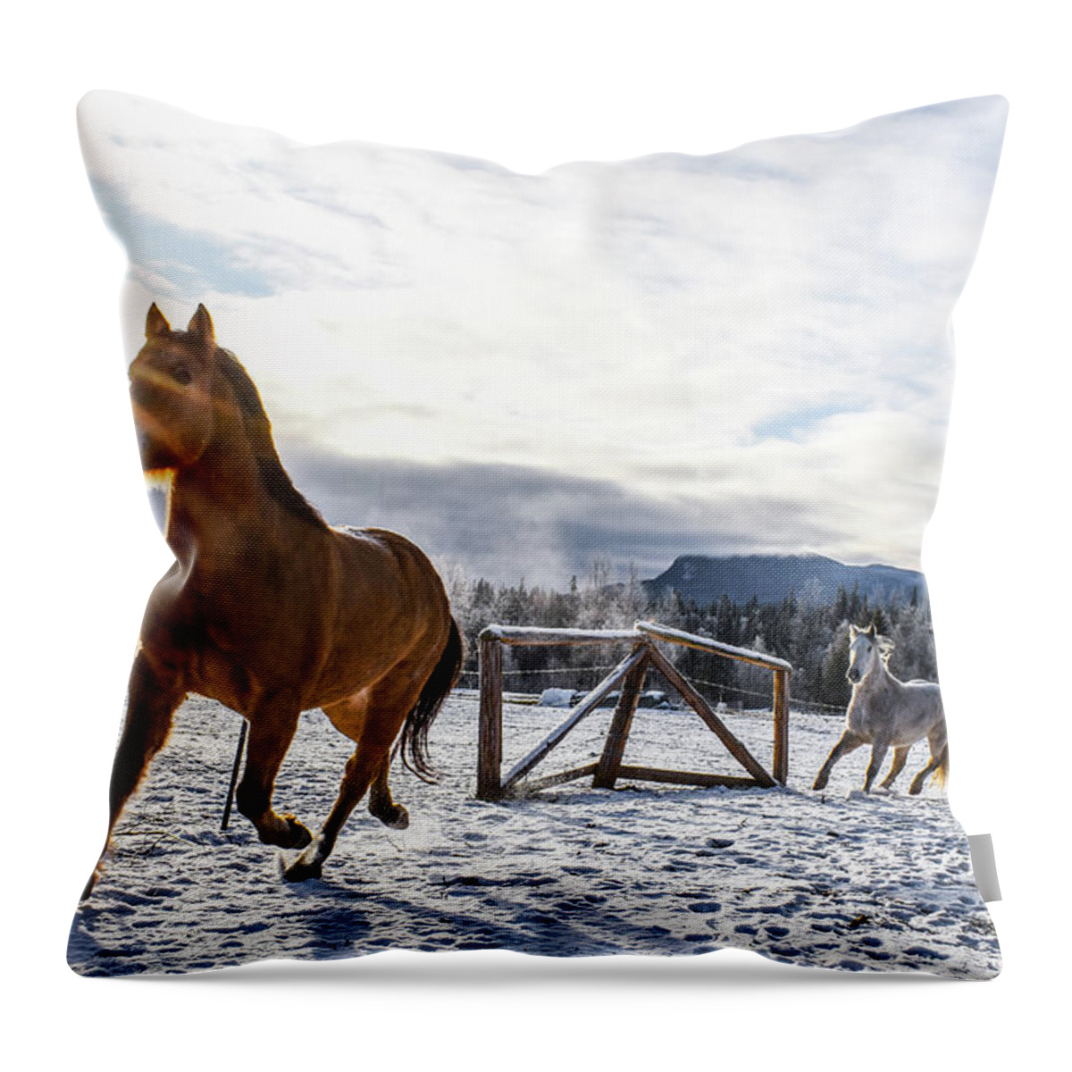 Winter Throw Pillow featuring the photograph New Beginnings by Listen To Your Horse