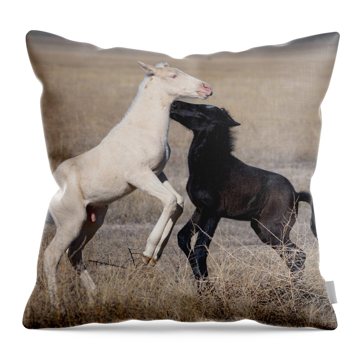 Wild Horses Throw Pillow featuring the photograph New brothers by Mary Hone