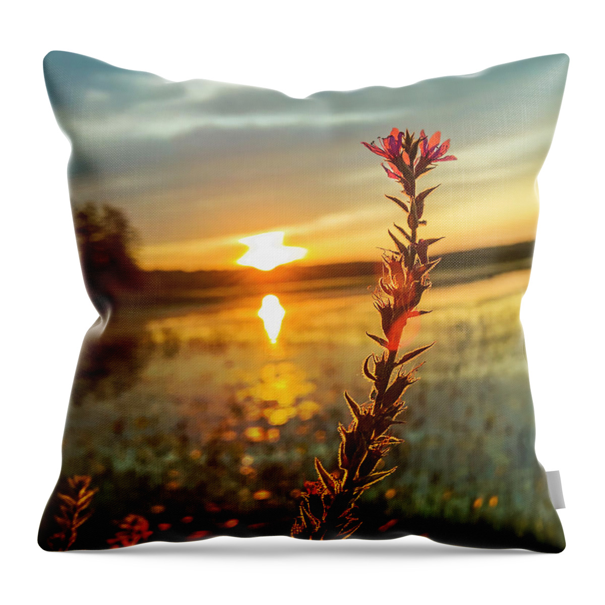 Loosestrife Throw Pillow featuring the photograph New Gold Dream by Jerry LoFaro
