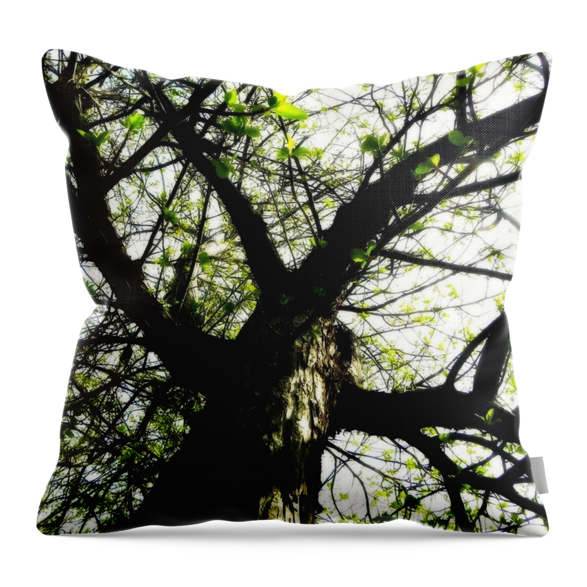 Leaves Throw Pillow featuring the photograph New Leaves by Amanda R Wright