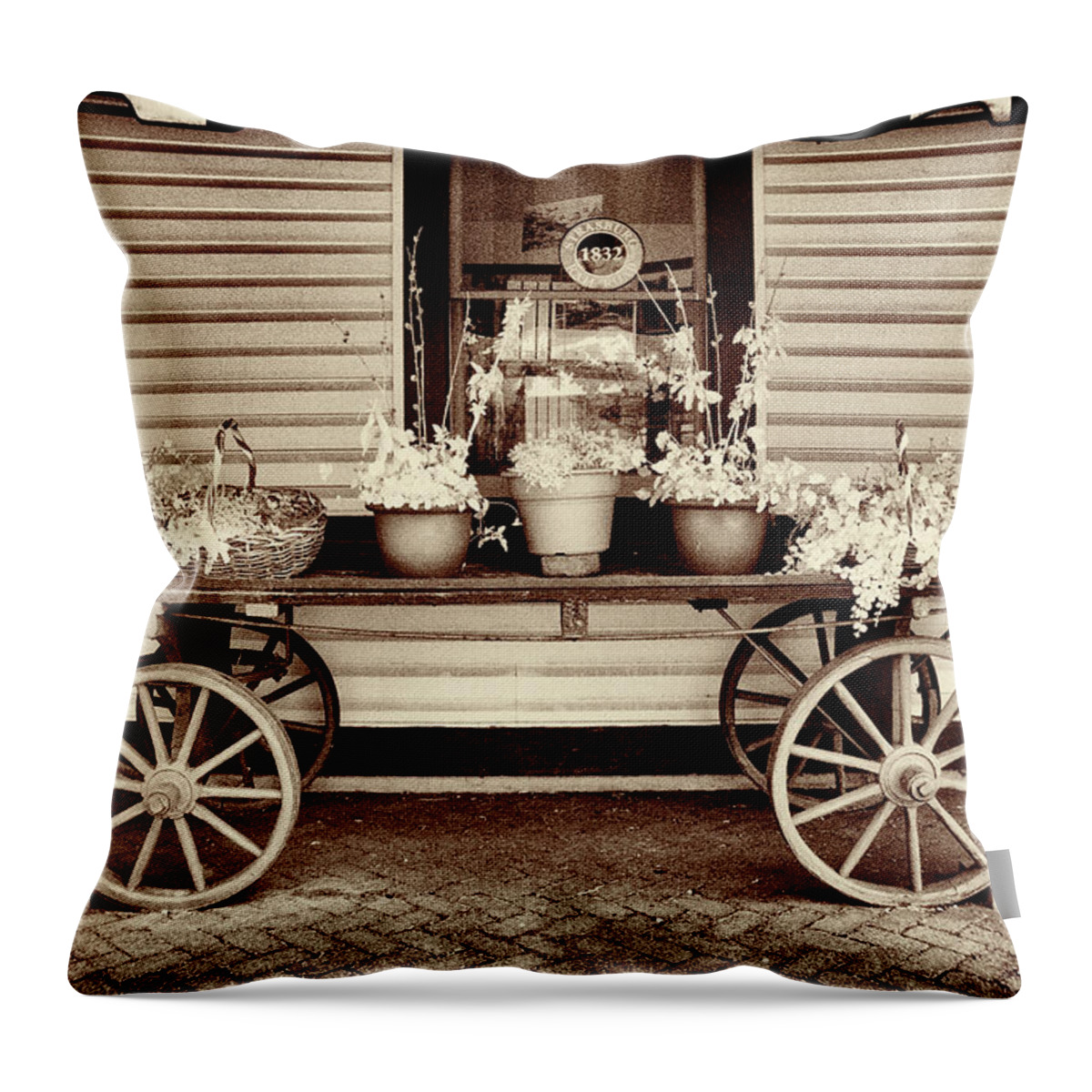 Dir-rr-0836-c Throw Pillow featuring the photograph New Life for Old Luggage cart by Paul W Faust - Impressions of Light