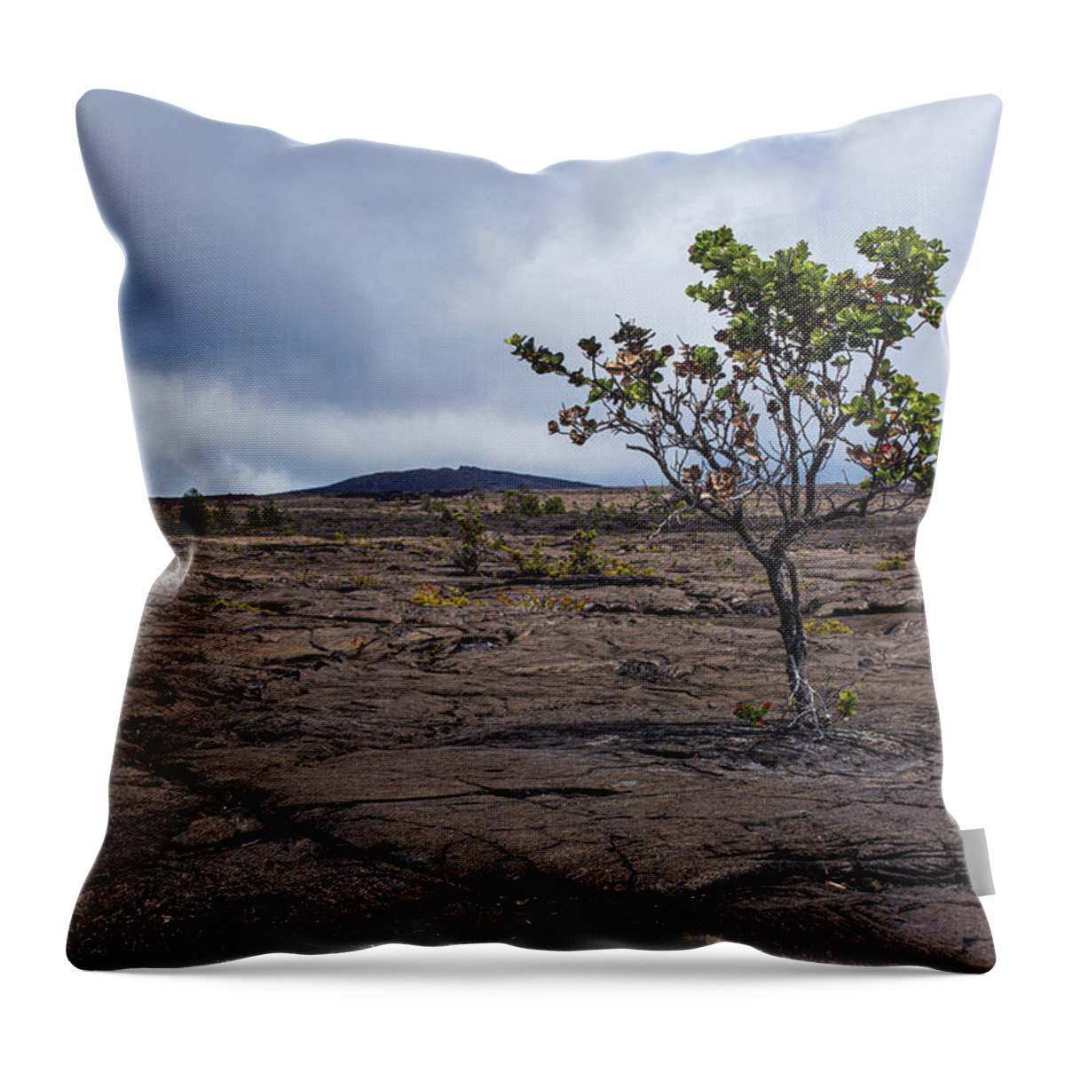 Lava Throw Pillow featuring the photograph Hawaii Volcanoes National Park by Billy Bateman