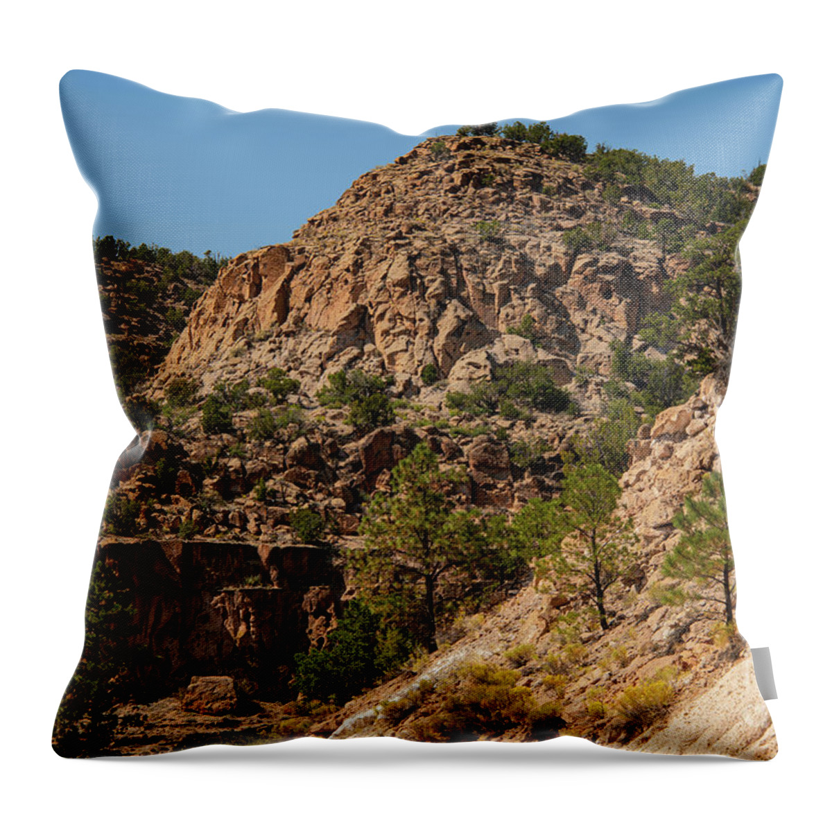 White Rock Throw Pillow featuring the photograph New Mexico Canyon Landscape One by Bob Phillips