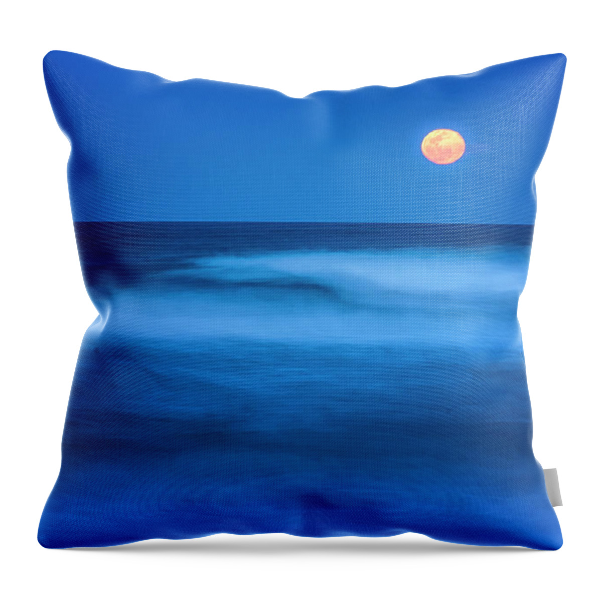 Yard Animals Throw Pillow featuring the photograph New Smyrna Beach Full Moon by Tom Singleton