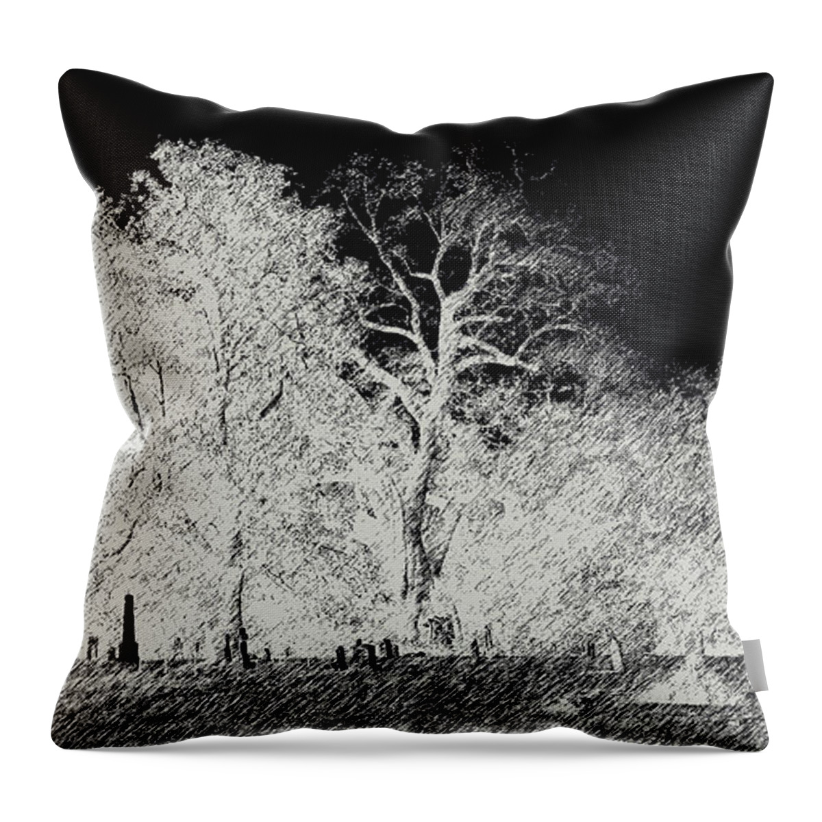 Skyline Throw Pillow featuring the photograph Night Protector by Max Mullins
