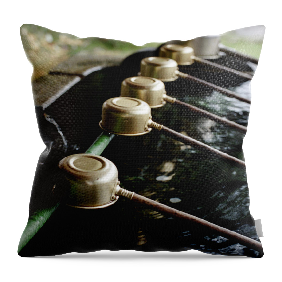 Budhist Throw Pillow featuring the photograph Nihama Temple 01 by Niels Nielsen