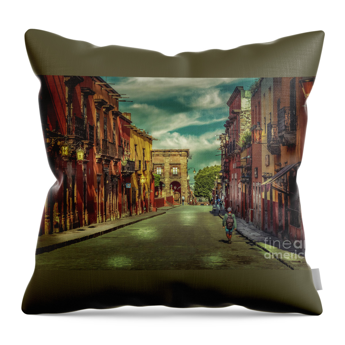 San Miguel Throw Pillow featuring the photograph No Body by Barry Weiss