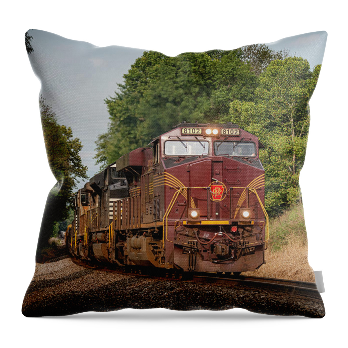 Railroad Throw Pillow featuring the photograph Norfolk Southern 168, With NS Pennsylvania Heritage Unit 8102 At Ayrshire by Jim Pearson