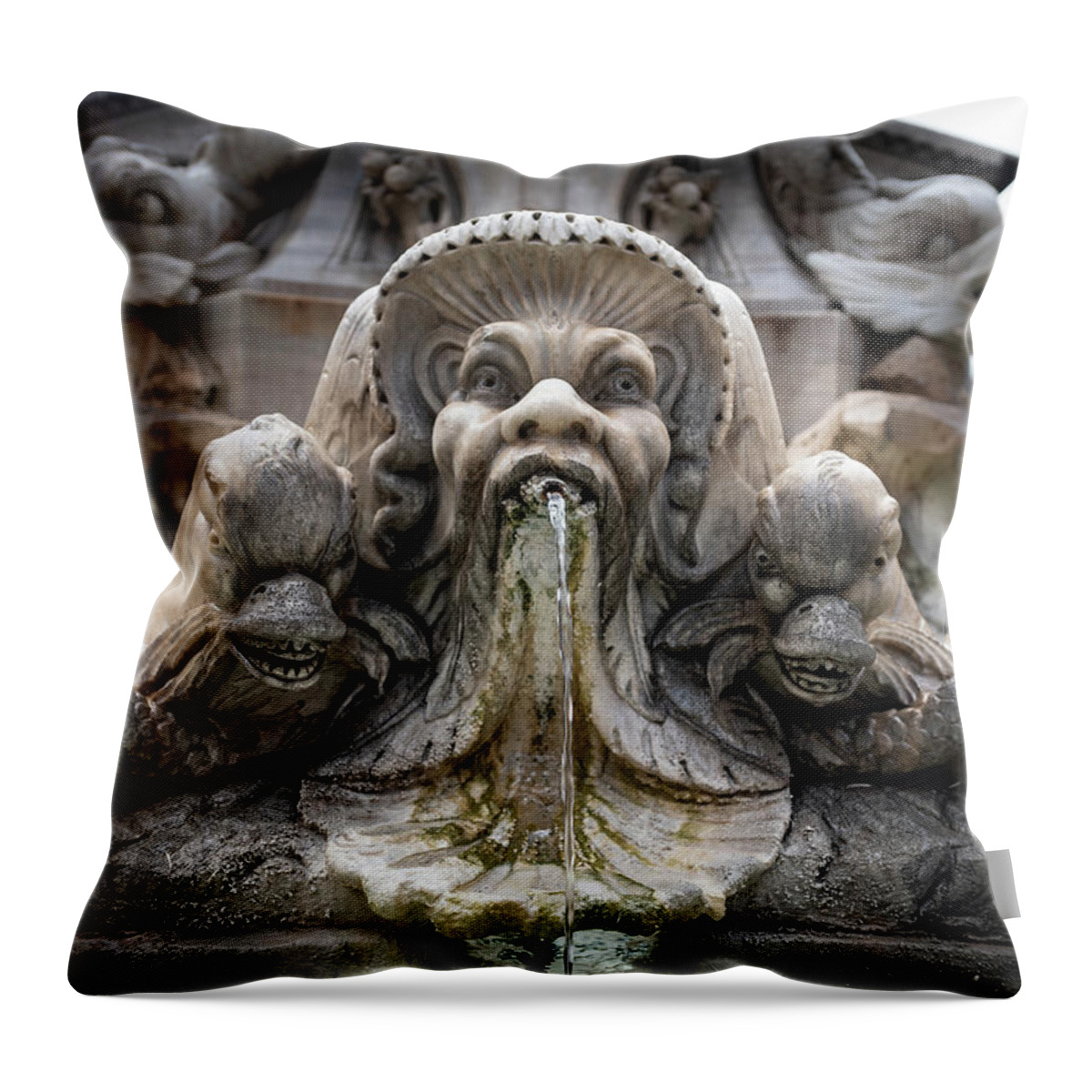Face Throw Pillow featuring the photograph North Face Fontana del Pantheon by David Downs