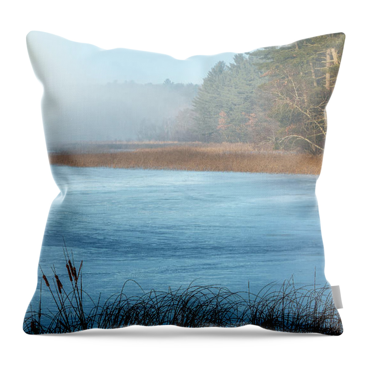 Lake Throw Pillow featuring the photograph North Lake Morning Fog by Trey Foerster
