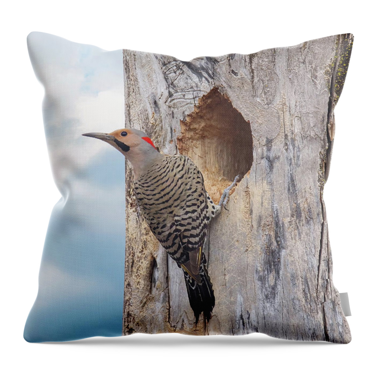 Northern Flicker Throw Pillow featuring the photograph Norther Flicker by Brook Burling