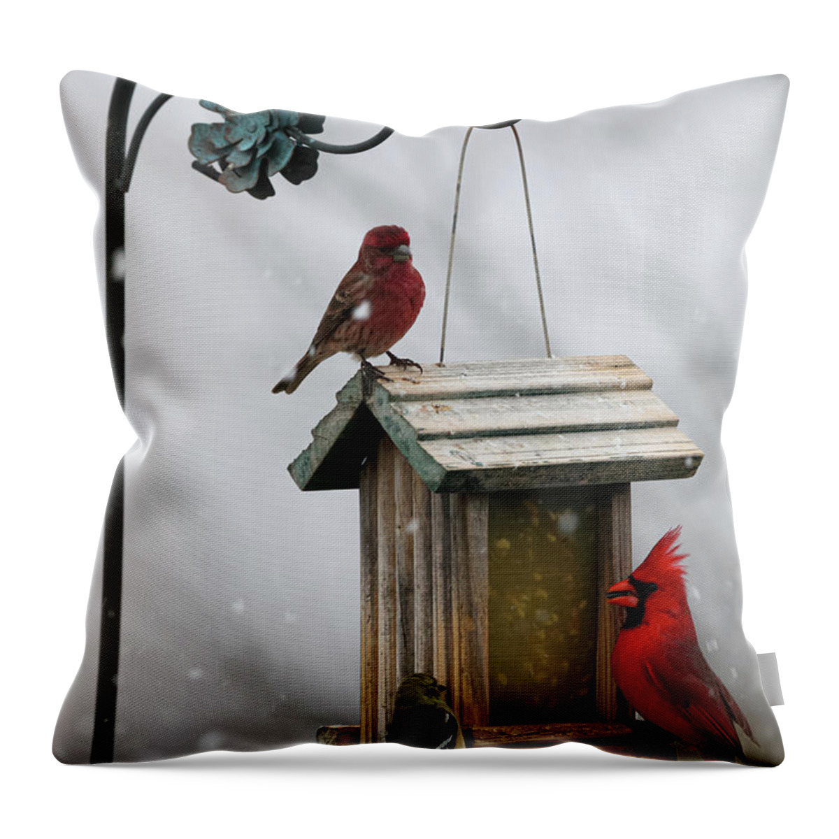 Nature Throw Pillow featuring the photograph Northern Cardinal in Snow by Steve Templeton