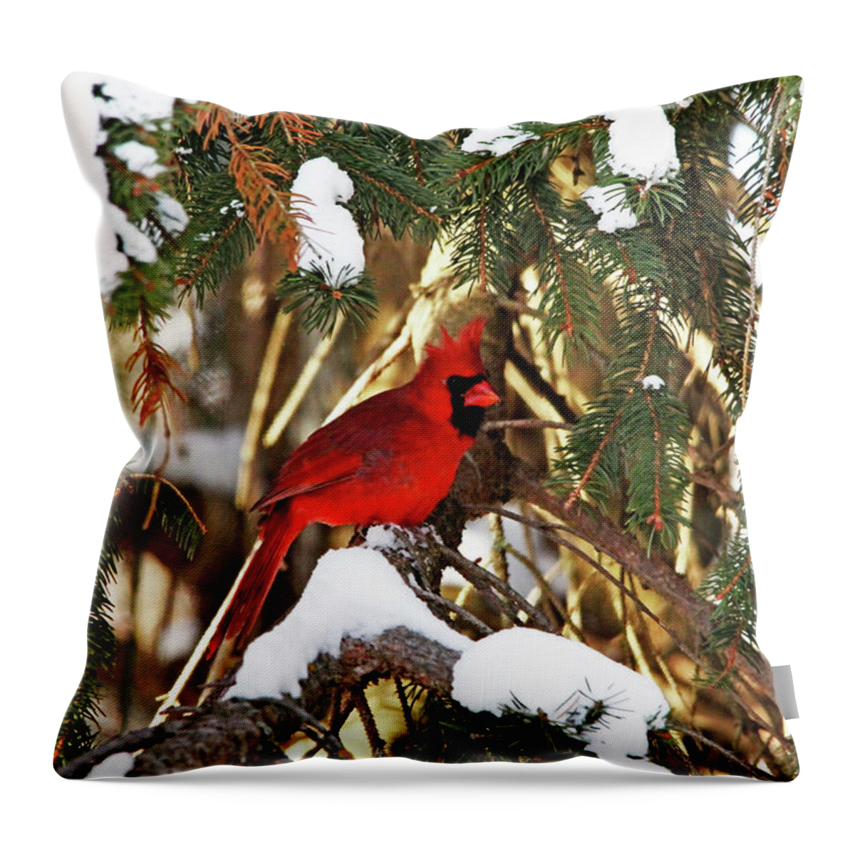 Northern Red Cardinal Throw Pillow featuring the photograph Northern Cardinal In Winter by Debbie Oppermann
