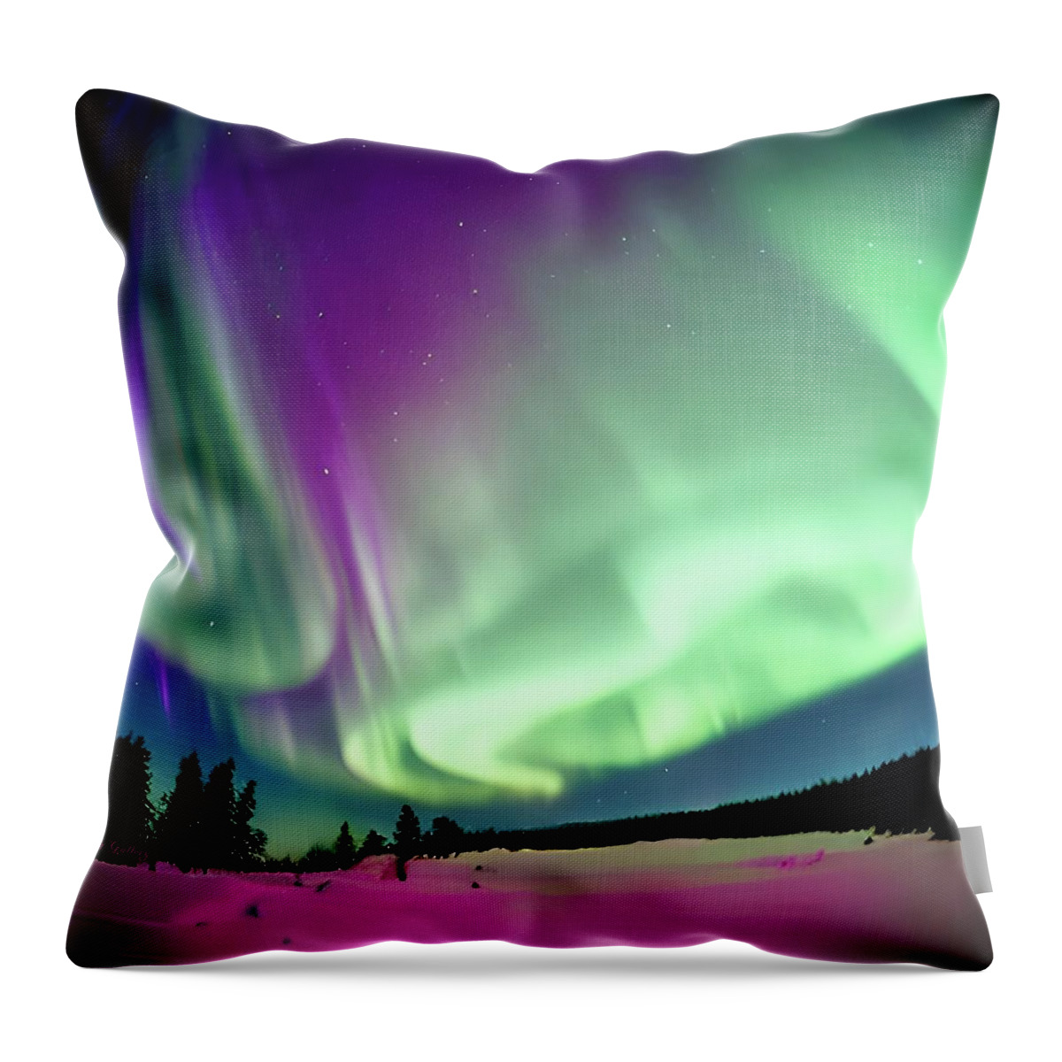 Aurora Throw Pillow featuring the digital art Northern Lights No.2 by Fred Larucci